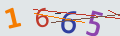 verifycode